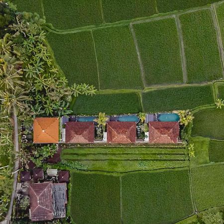 Airsania Ubud Antique Villas Exterior foto